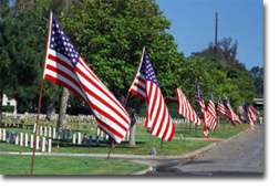 american flags