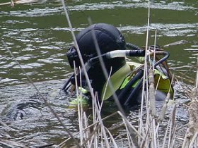 diver along the shore