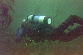 diver under water