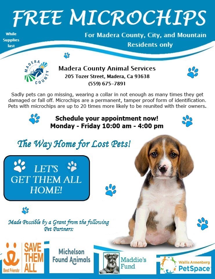 Free Pet Microchipping for Madera Residents-Flyer