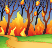 Forest Fire 