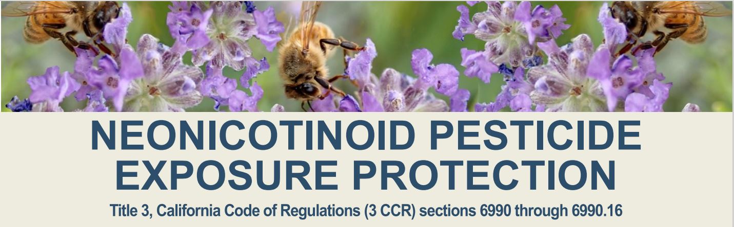 Picture of neonicotinoids