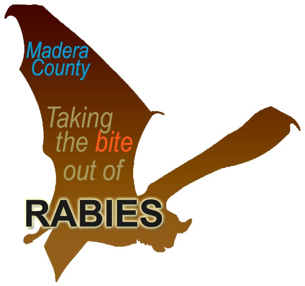 Brown bat graphic with Madera County Take a bite out of rabies set on top