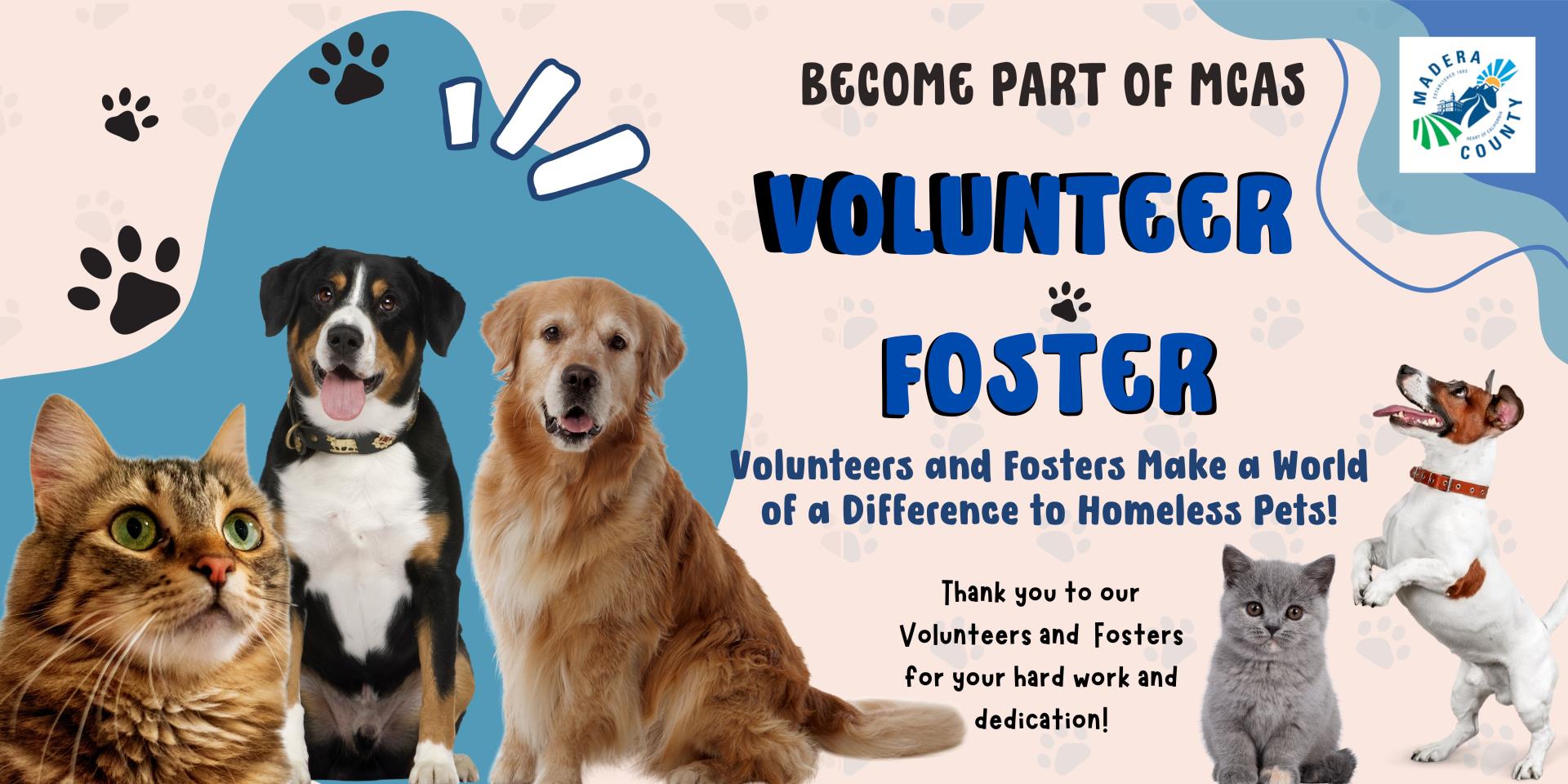 Become a VOLUNTEER OR FOSTER